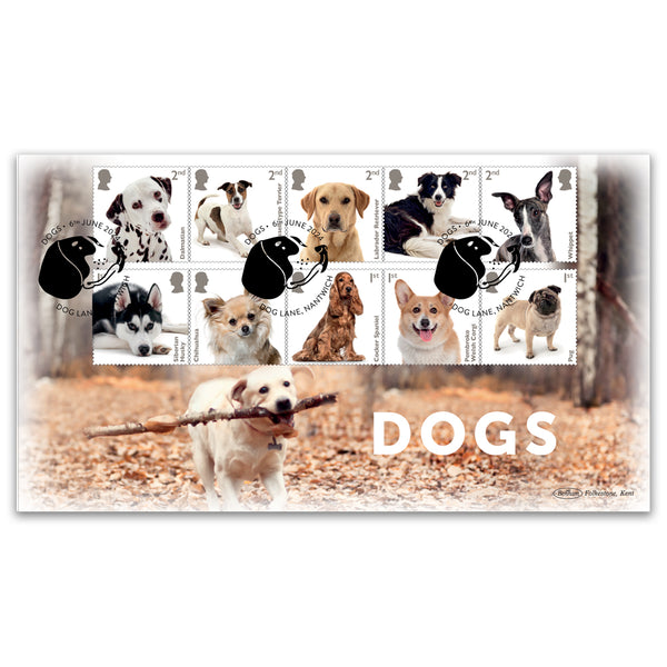 2024 Dogs Stamps BLCS 5000