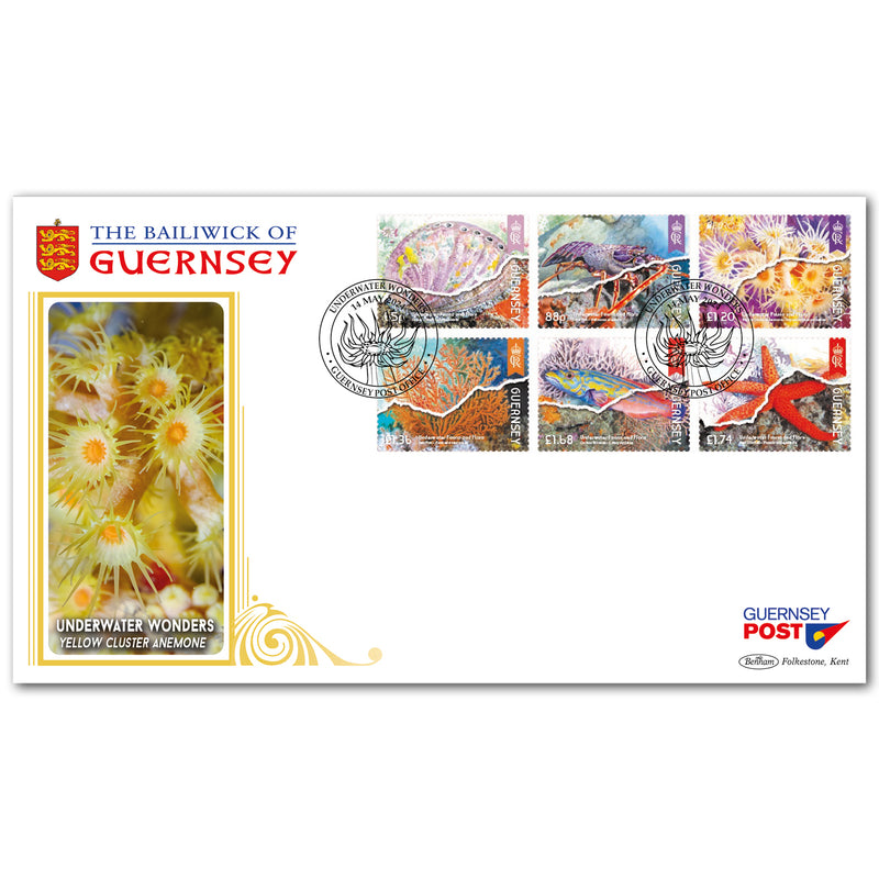 2024 Guernsey - Underwater Fauna & Flora